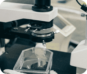 Medical Industry